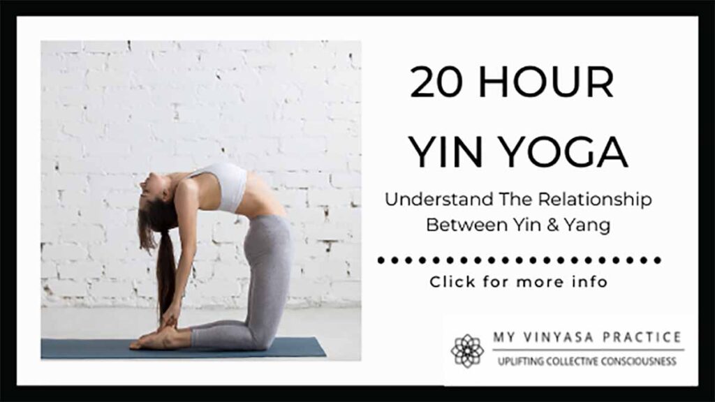 Yin Yoga Teacher Training - MyVinyasa Practice