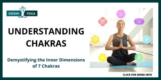 The 5 Best Chakra Training courses online