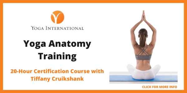 The 8 Best Yoga Anatomy Courses Online