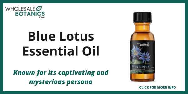 Healthy Essential Oil Brands - Blue Lotus Essential Oil