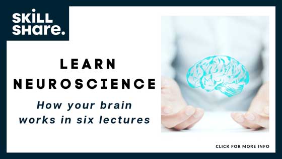 Online Courses in Neuroscience - Learn Neuroscience How Your Brain Works in Six Lectures - Skillshare