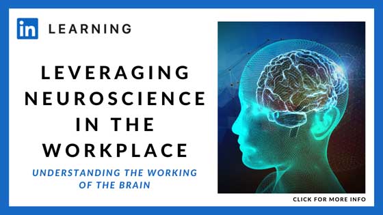 Online Courses in Neuroscience - Leveraging Neuroscience in the Workplace - LinkedIn Learning