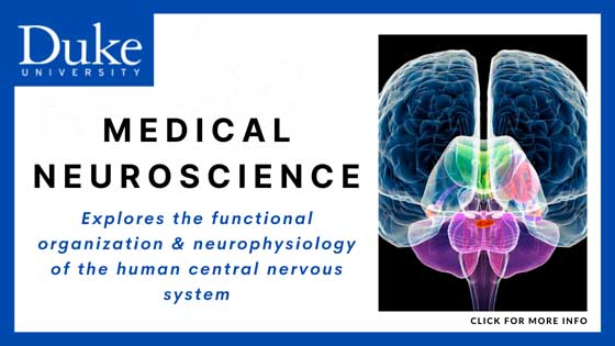Online Courses in Neuroscience - Medical Neuroscience - Coursera