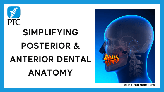 dental tech courses online - Simplifying Posterior and Anterior Dental Anatomy