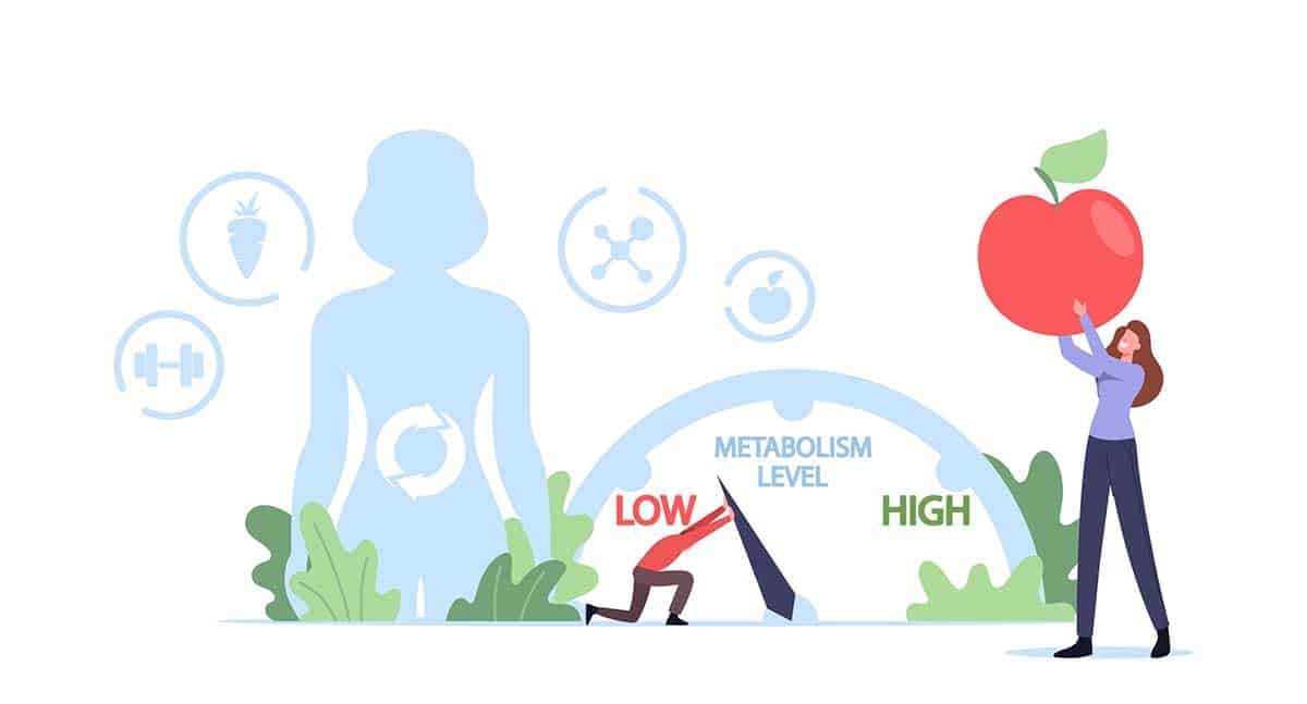 3 Devices to Measure Metabolism From Home