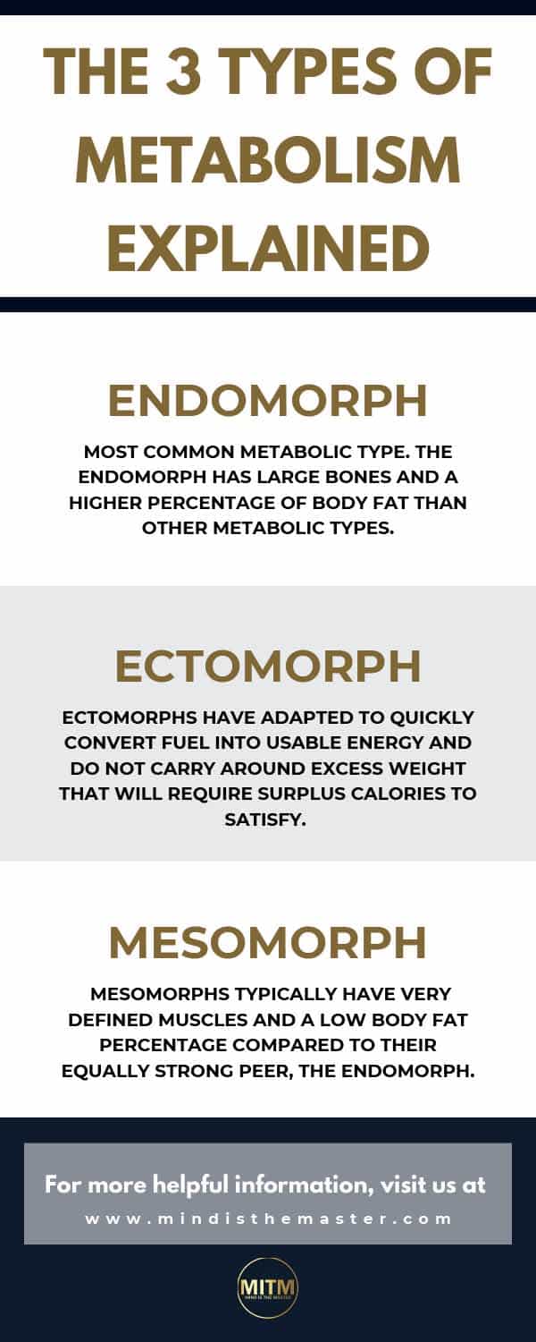 The 3 Types of Metabolism Explained