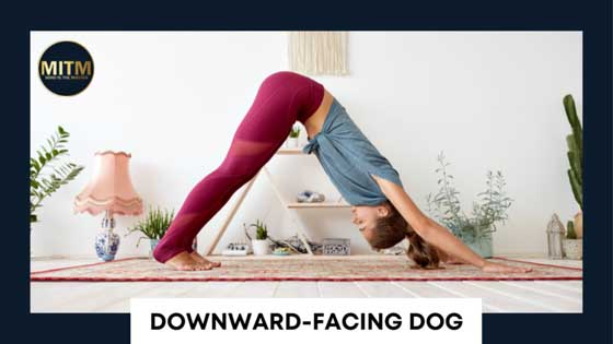 12 basic yoga poses for beginners - Downward Facing Dog