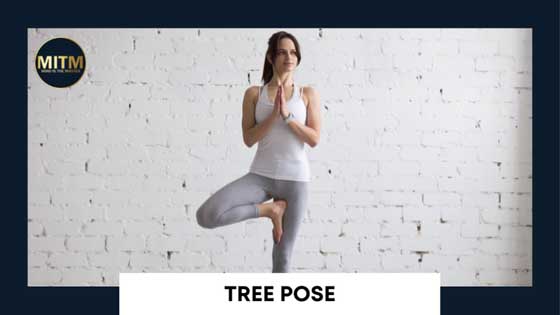 12 basic yoga poses for beginners - Tree Pose