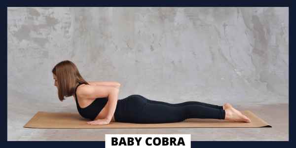Hatha Yoga Poses For Beginners - Baby Cobra
