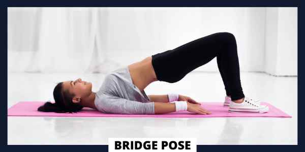 Hatha Yoga Poses For Beginners - Bridge Pose