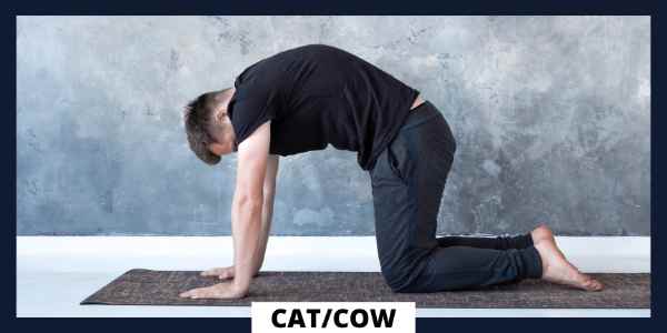 Hatha Yoga Poses For Beginners - Cat-Cow