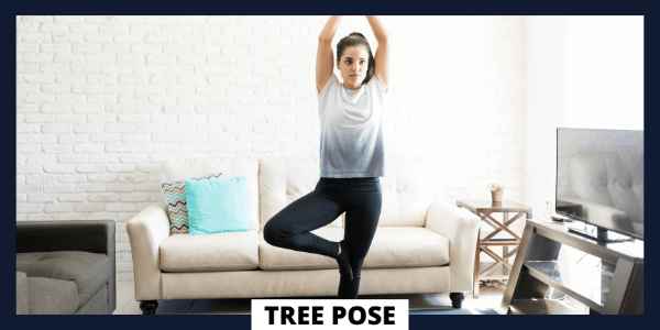 Hatha Yoga Poses For Beginners - Tree Pose
