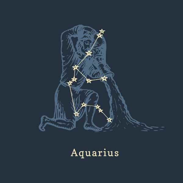The 12 Signs of the Zodiac in Order - Aquarius