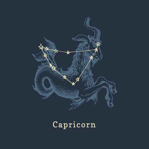The 12 Signs of the Zodiac in Order - Capricorn