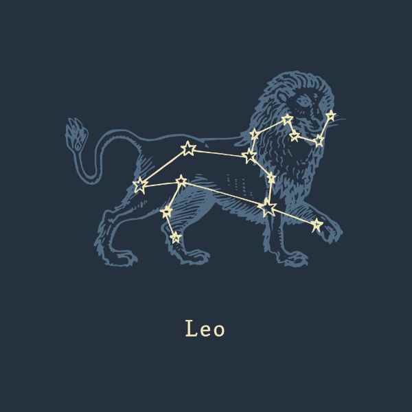 The 12 Signs of the Zodiac in Order - Leo