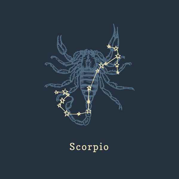 The 12 Signs of the Zodiac in Order - Scorpio