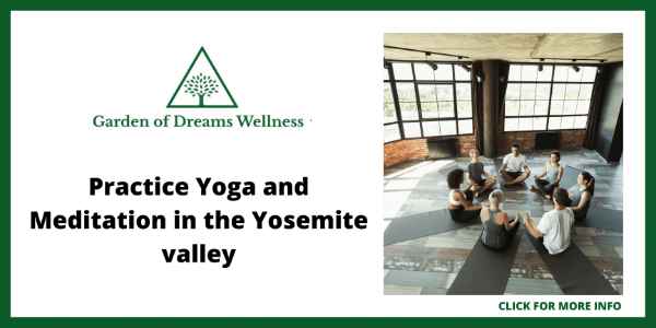 Best Yoga Retreats in the US - Garden of Dreams Wellness