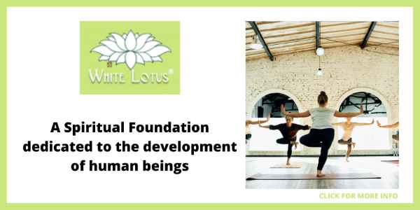 Best Yoga Retreats in the US - The White Lotus Foundation