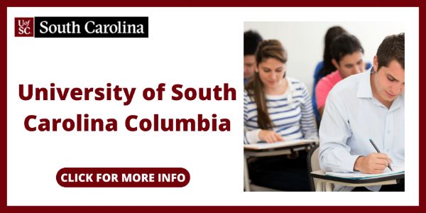 Online Degrees in Elementary Education - University of South Carolina Columbia