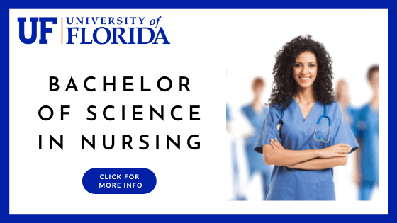 university of florida online degrees - Bachelor of Science in Nursing