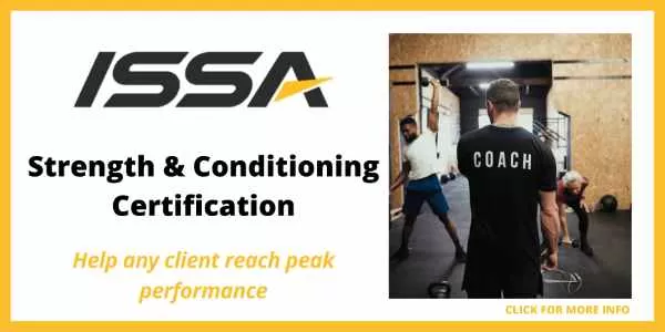 The 5 Best Strength and Conditioning Coach Certifications Online