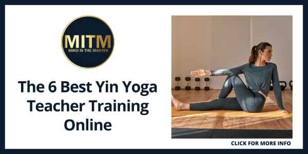 Yin Yoga Poses for Beginners - Spinal twist