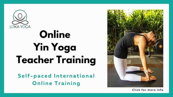 Get Your Yoga Education Hours Online - 200YTT