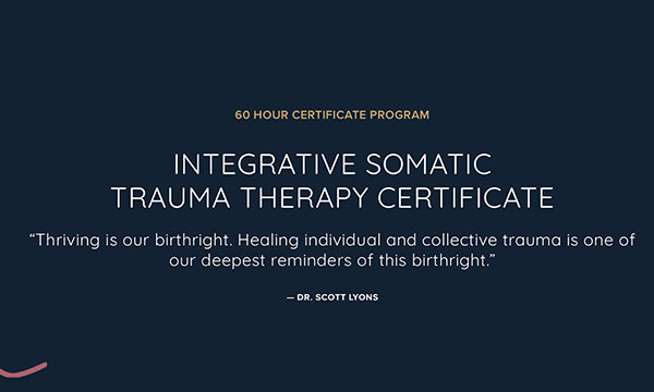 somatic experiencing training - Integrative Somatic Trauma Therapy Certificate