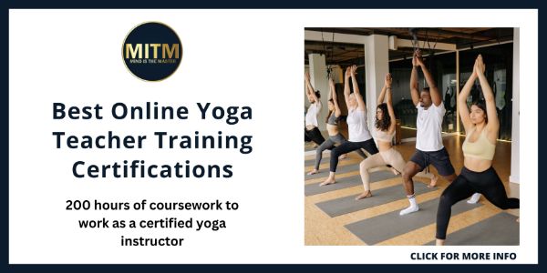 Get Your Yoga Education Hours Online - 200YTT