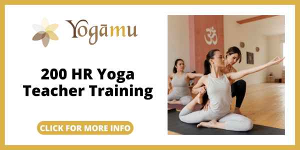 Yogamu Review - YogaMus 200-Hour Yoga Teacher Training