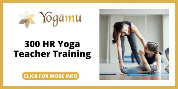 Yogamu Review - YogaMus 300-Hour Yoga Teacher Training