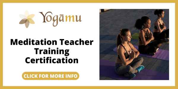 Yogamu Review - Yogamus Meditation Teacher Training