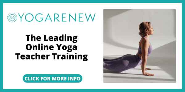 best online yoga teacher training - Yoga Renew Online Yoga Teacher Training