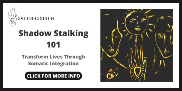 Best Shadow Work Courses Online - Shadow Stalking 101