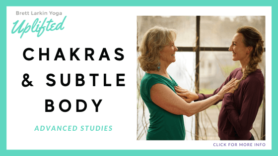Chakra-Courses-Online-The-Chakras-Subtly-Body-course