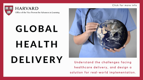 Great-Courses-for-Continuing-Education-for-Mental-Health-Professionals-Global-Health-Delivery
