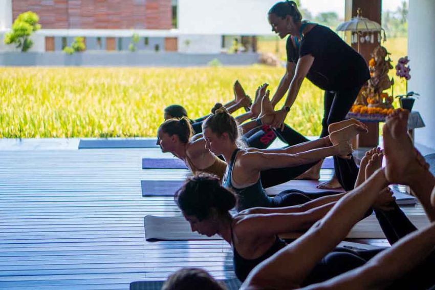 Affordable Yoga Teacher Training Online - Loka Yoga School