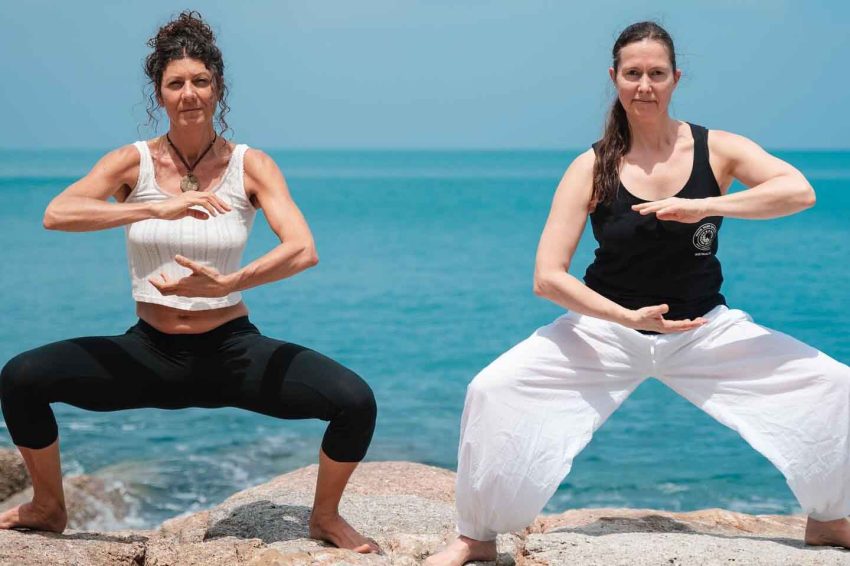 Best QiGong Certification - White Tiger QiGong
